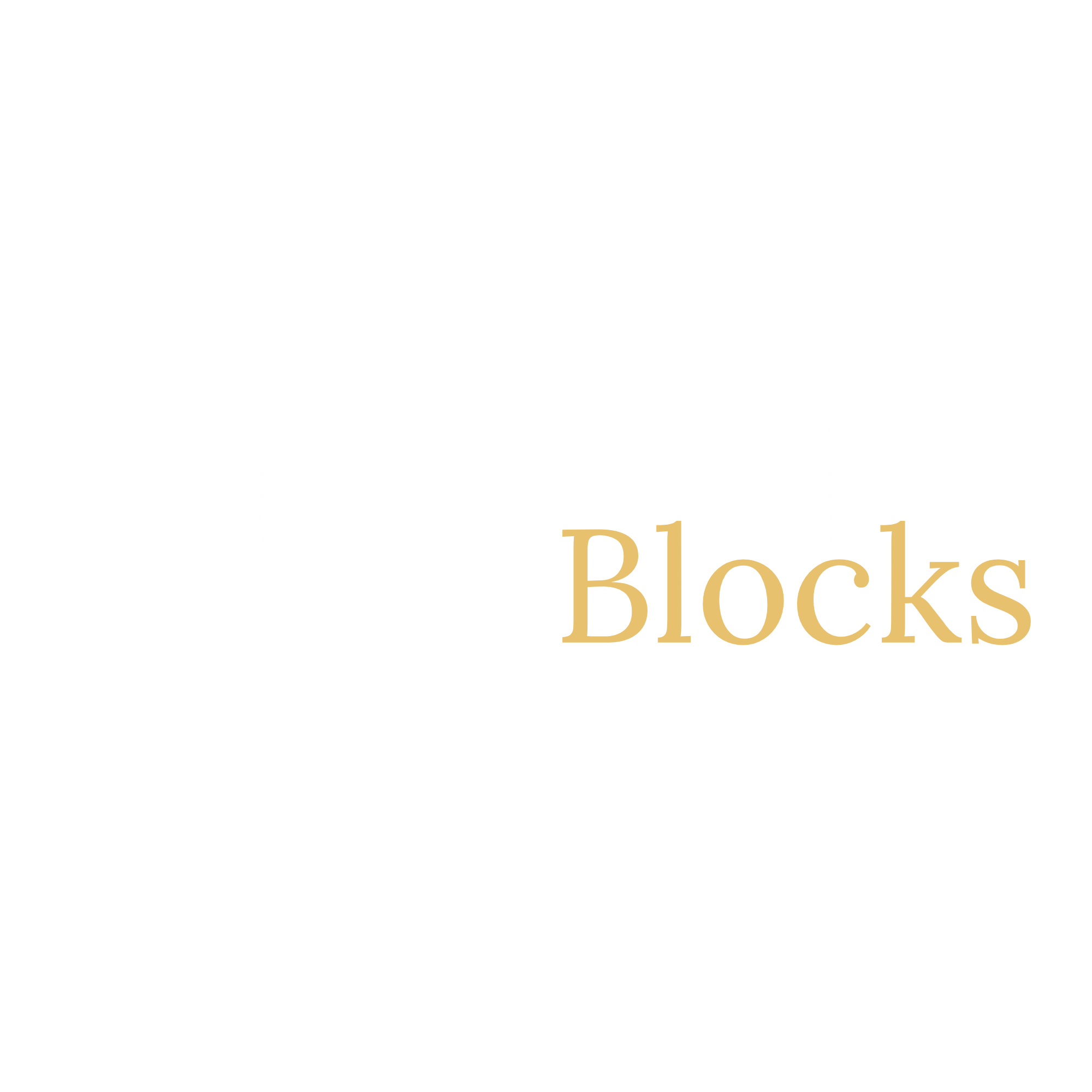 Logo d'EternaBlocks